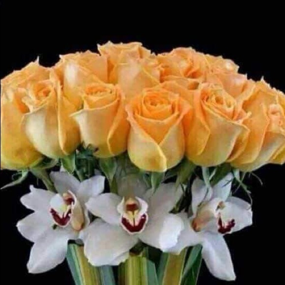 Meet your Posher, Fran - Picture 1 of 1